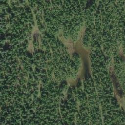 Satellite imagery of Poison Mountain, CA
