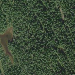 Satellite imagery of Poison Mountain, CA