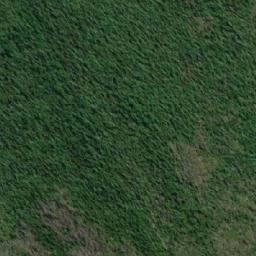Satellite imagery of Folded Hill, CA