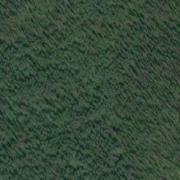 Satellite imagery of Schooler Hill, CA