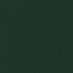 Satellite imagery of Thoms Point, US