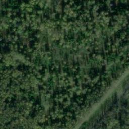 Satellite imagery of Тайга Сев., RU