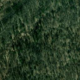 Satellite imagery of Шумиха, RU