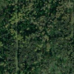Satellite imagery of Тайга Сев., RU