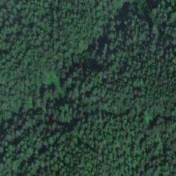 Satellite imagery of Mount Bunting, CA