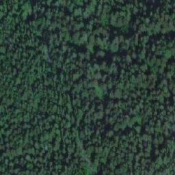 Satellite imagery of Mount Bunting, CA