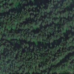 Satellite imagery of Mount Bunting, CA