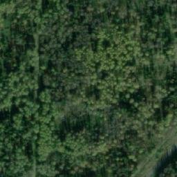 Satellite imagery of Тайга Сев., RU