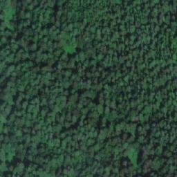 Satellite imagery of Mount Bunting, CA