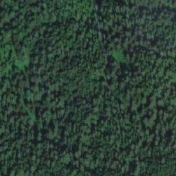 Satellite imagery of Mount Bunting, CA