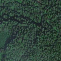 Satellite imagery of Mount Bunting, CA