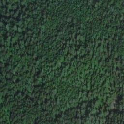 Satellite imagery of Mount Bunting, CA