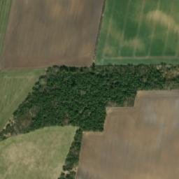 Satellite imagery of Finderup Rishøj, DK