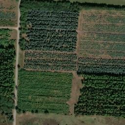 Satellite imagery of survey_point, DK