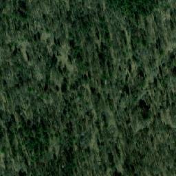 Satellite imagery of Ельцовка, RU