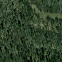 Satellite imagery of Ельцовка, RU