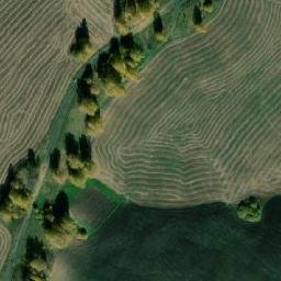 Satellite imagery of Трактовое (Казыльюнское), RU