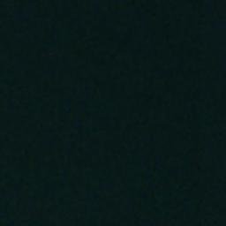 Satellite imagery of Lemon Point, US