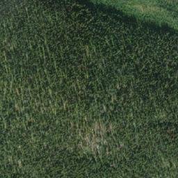 Satellite imagery of Mount Brown, CA