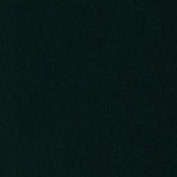 Satellite imagery of Lemon Point, US