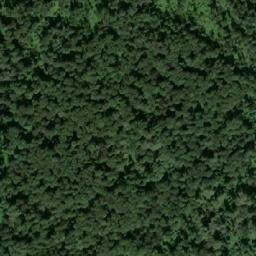 Satellite imagery of Верховье Мишихи, RU