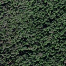 Satellite imagery of Ruins Point, US