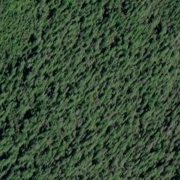 Satellite imagery of Point Barnes, US