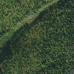 Satellite imagery of Mount Dewar, CA