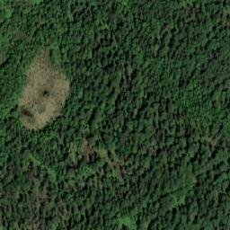 Satellite imagery of Новый Шурф, RU