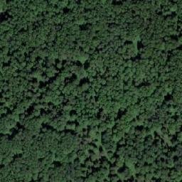 Satellite imagery of Верховье Челы, RU