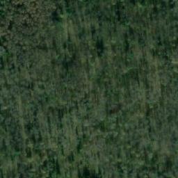 Satellite imagery of Яя-Бобровский, RU