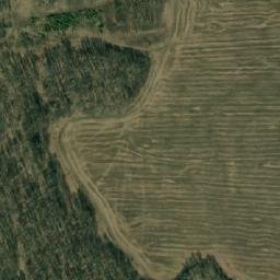 Satellite imagery of Чебула, RU