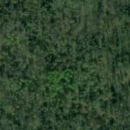 Satellite imagery of Яя-Бобровский, RU