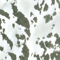 Satellite imagery of Mount Welker, CA