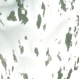Satellite imagery of Mount Welker, CA