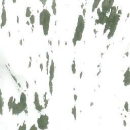 Satellite imagery of Mount Welker, CA