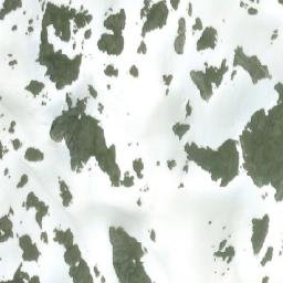 Satellite imagery of Mount Welker, CA