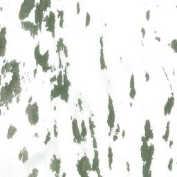 Satellite imagery of Mount Welker, CA
