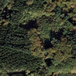 Satellite imagery of Yding Skovhøj, DK