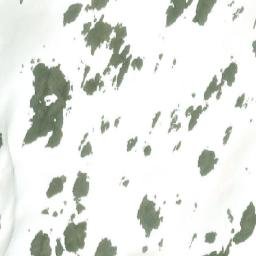 Satellite imagery of Mount Welker, CA