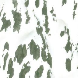 Satellite imagery of Mount Welker, CA