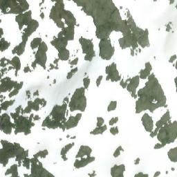 Satellite imagery of Mount Welker, CA