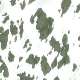 Satellite imagery of Mount Welker, CA