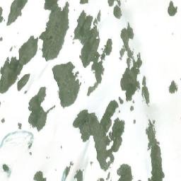 Satellite imagery of Mount Welker, CA