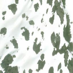 Satellite imagery of Mount Welker, CA