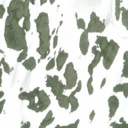 Satellite imagery of Monument 5, CA