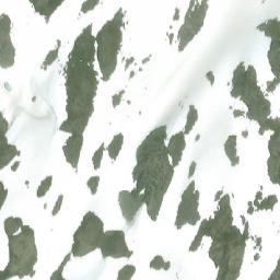 Satellite imagery of Monument 5, CA