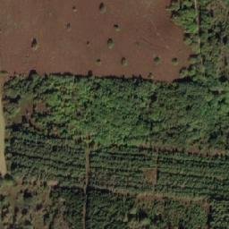 Satellite imagery of Bavnshøje, DK