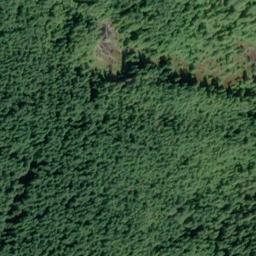 Satellite imagery of Point Hardscrabble, US