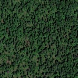 Satellite imagery of Козлы Малые, RU